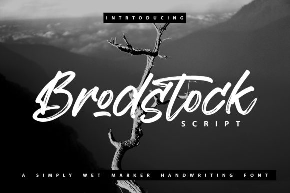Brodstock: A Handwritten Font for Creative Marketing