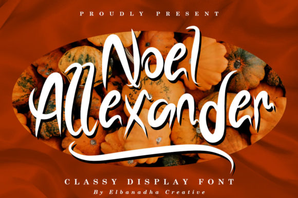 Noel Alexander Font: A Delicate Script for Web Design