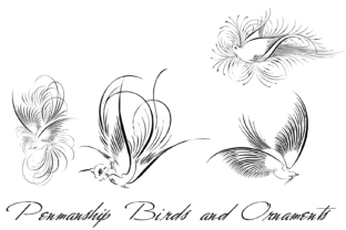 Penmanship Birds and Ornaments Font